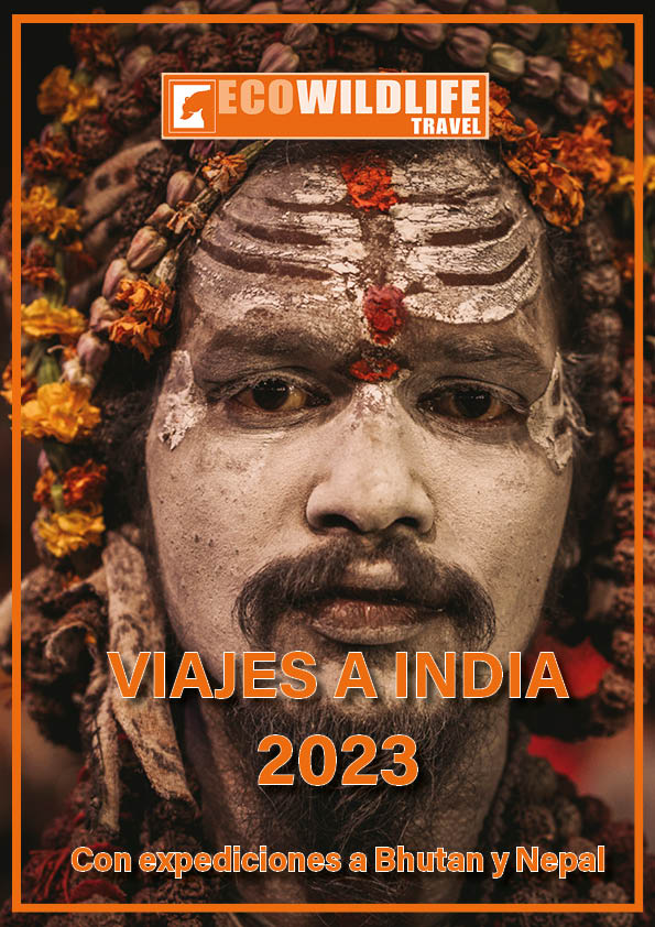 Viajes a la India 2023