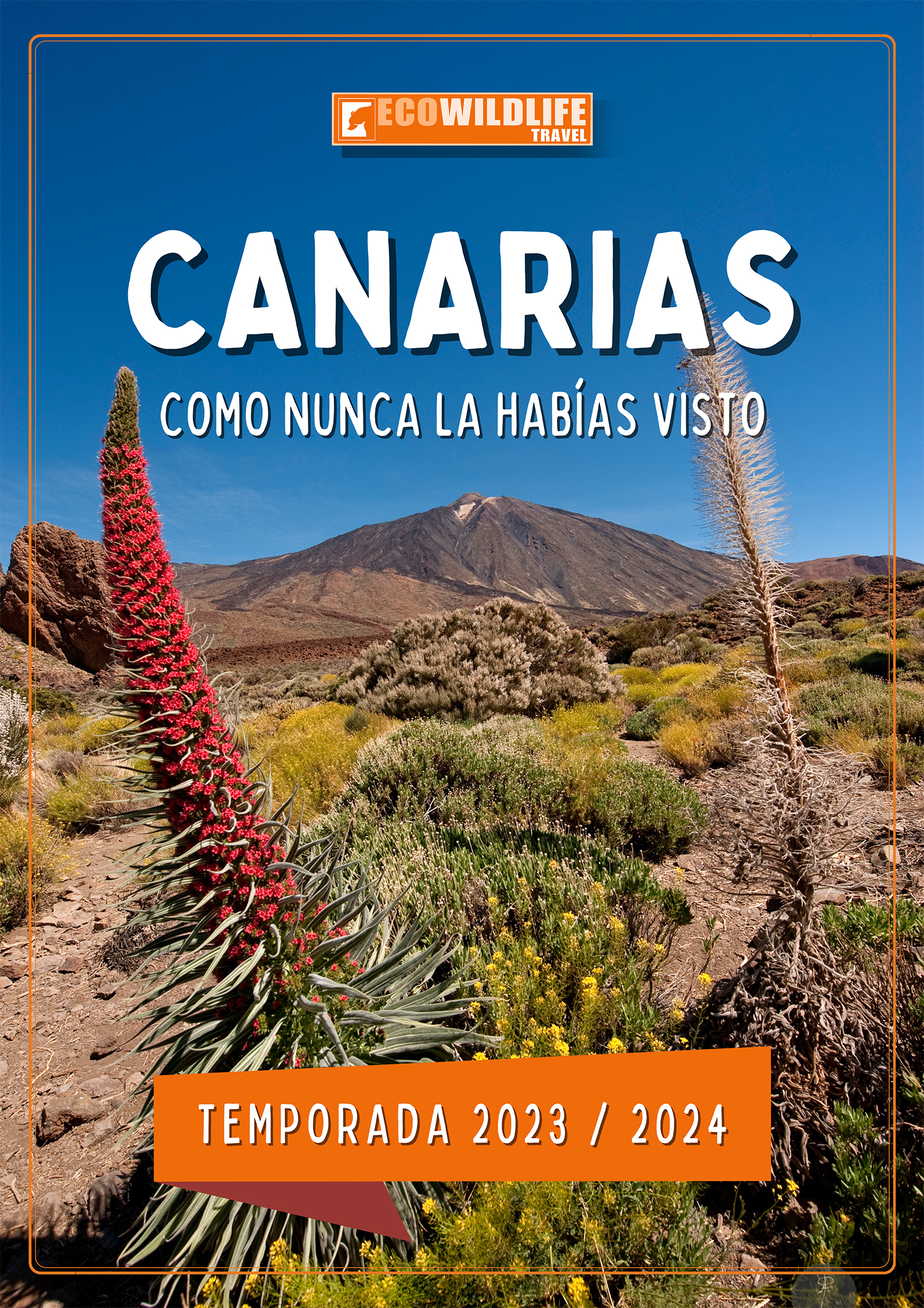 Canarias 2023-2024