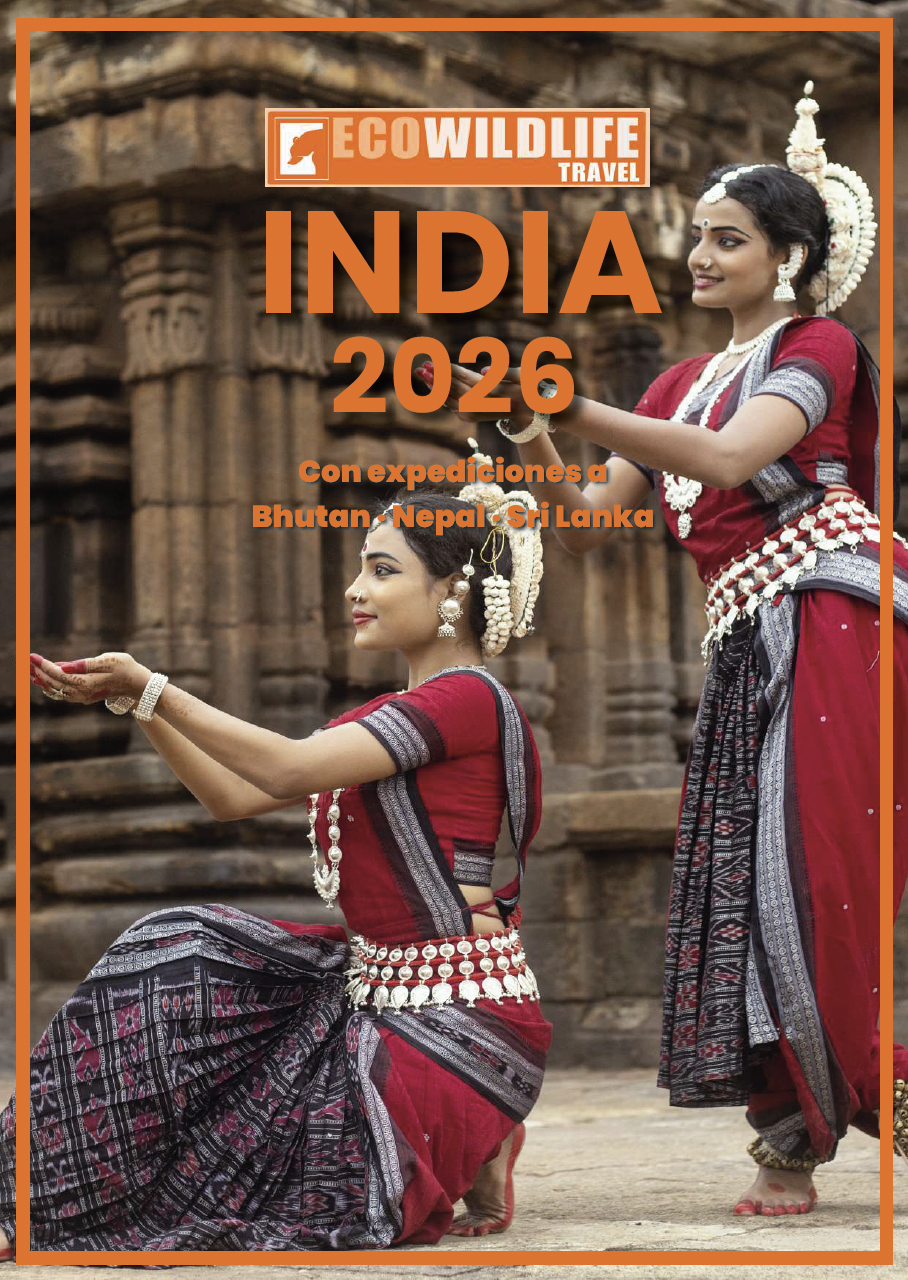 VIAJES A LA INDIA 2026
