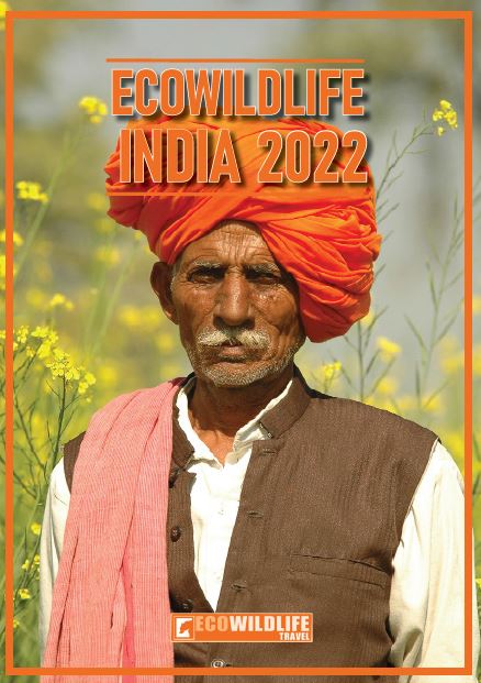 India 2022