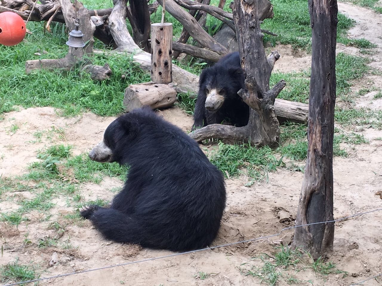India: Esencias de India 