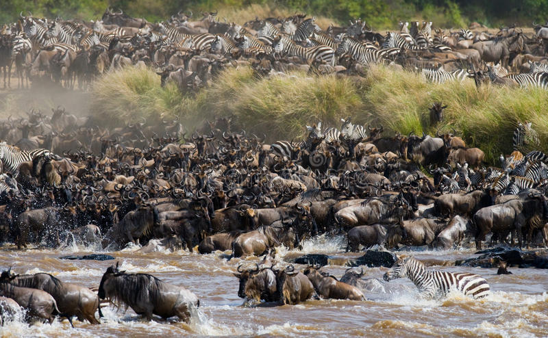 Kenia: La gran migración