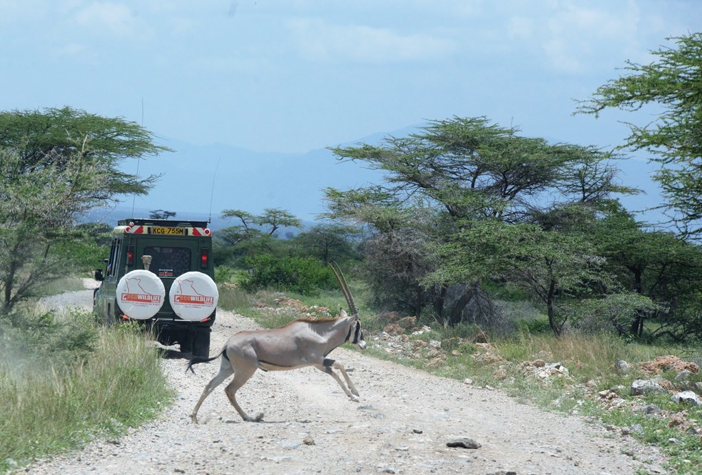 Kenia: La gran migración