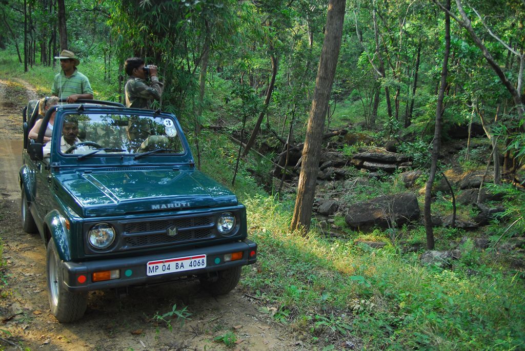 INDIA SENDEROS DEL TIGRE EN SUNDERBANS Y KAZIRANGA