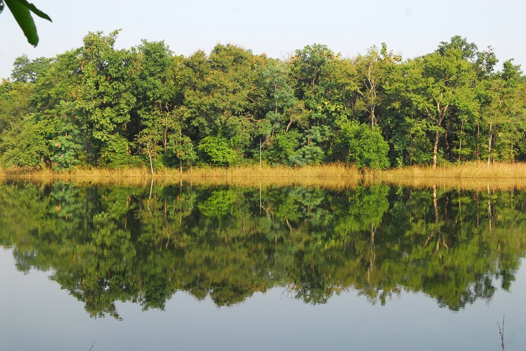 INDIA SENDEROS DEL TIGRE EN SUNDERBANS Y KAZIRANGA