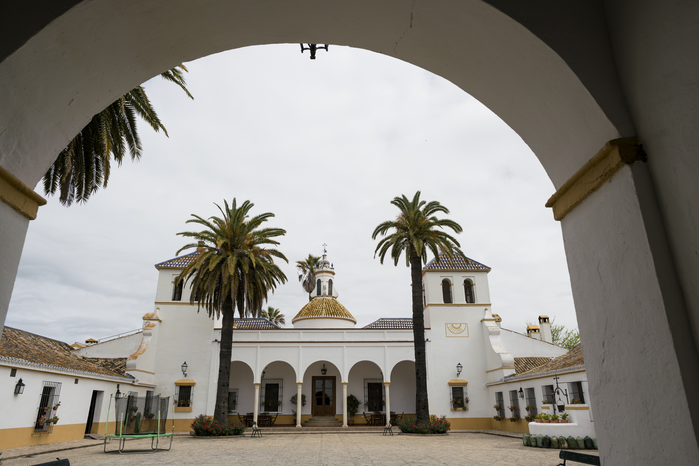 España: Primavera en el P.N. de Doñana