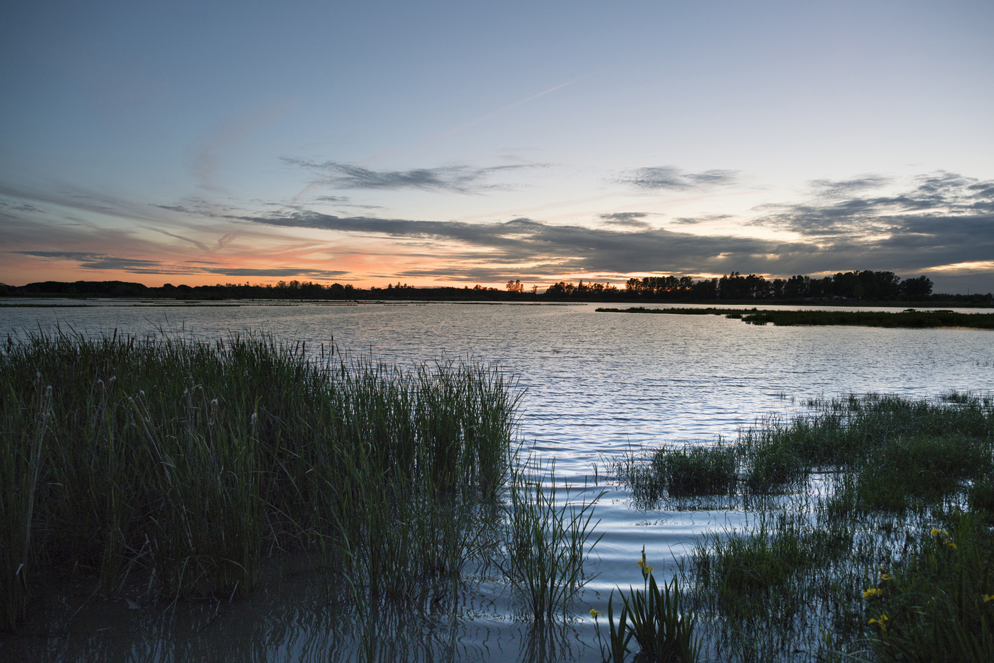 España: Primavera en el P.N. de Doñana