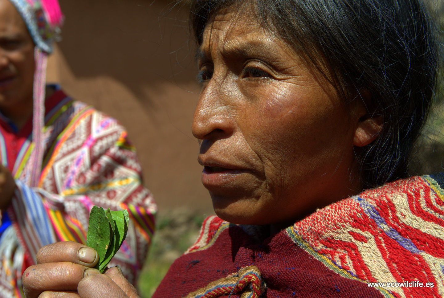 Perú: El Camino del Inca