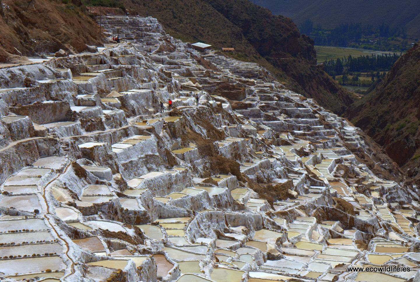 Perú: El Camino del Inca