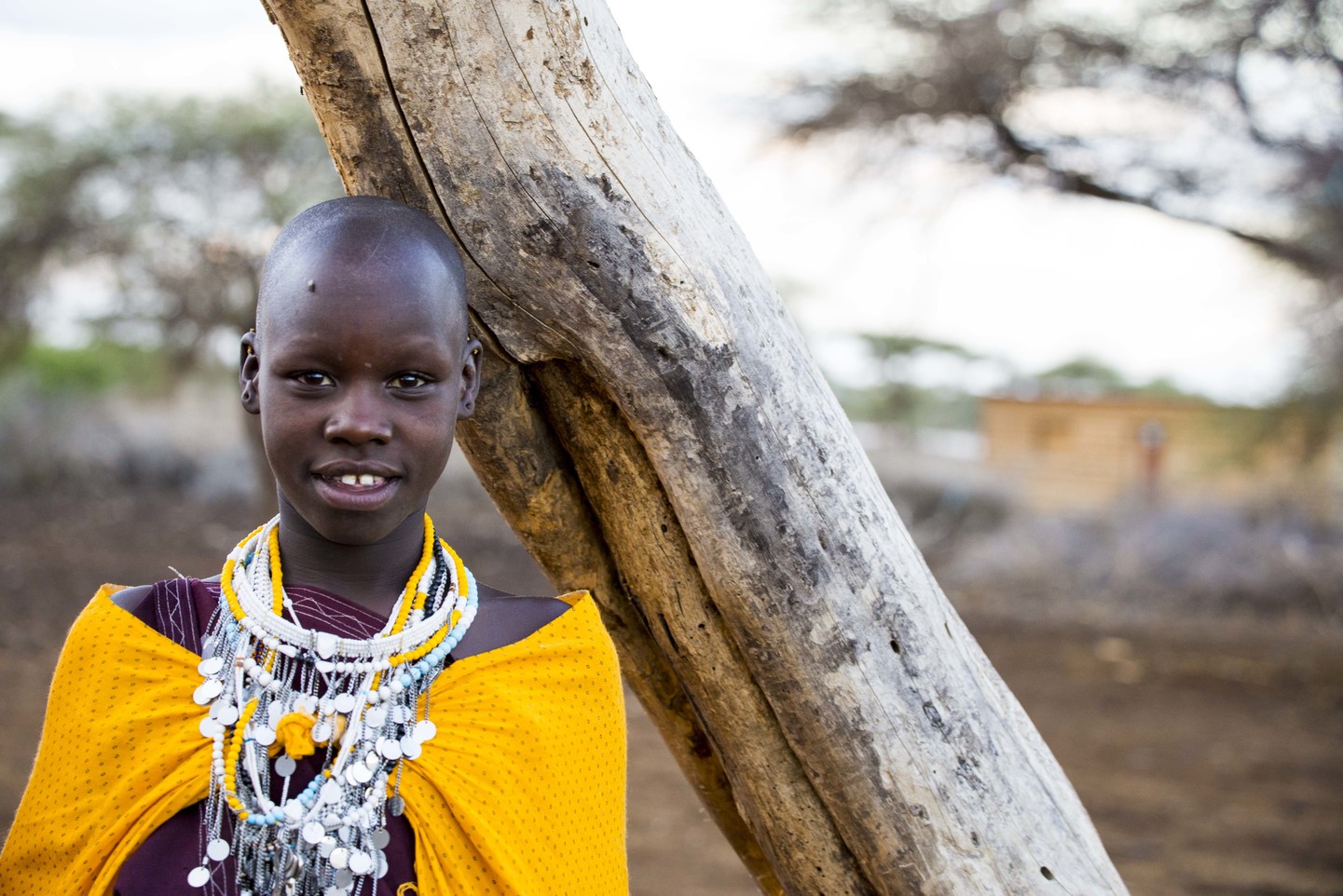 Tanzania: La Gran Migración