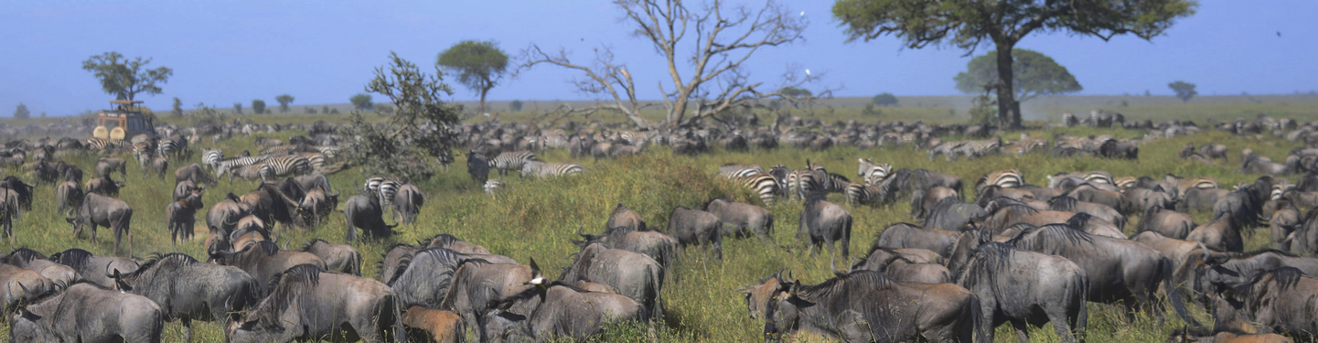 Tanzania Regular: Safari y Paisajes