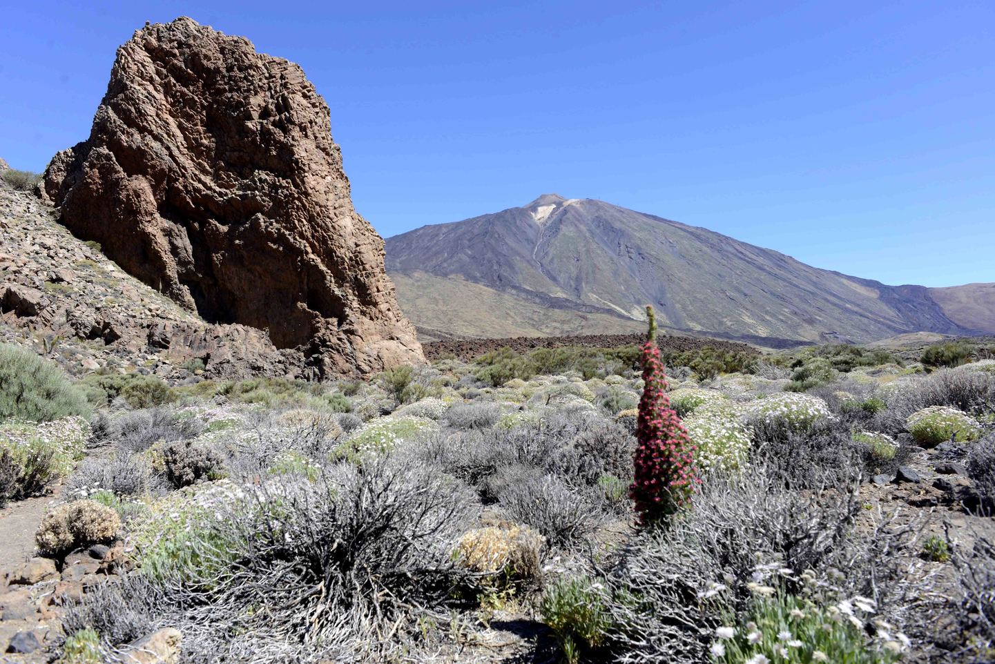 Islas Canarias: Escapada a la biodiversidad