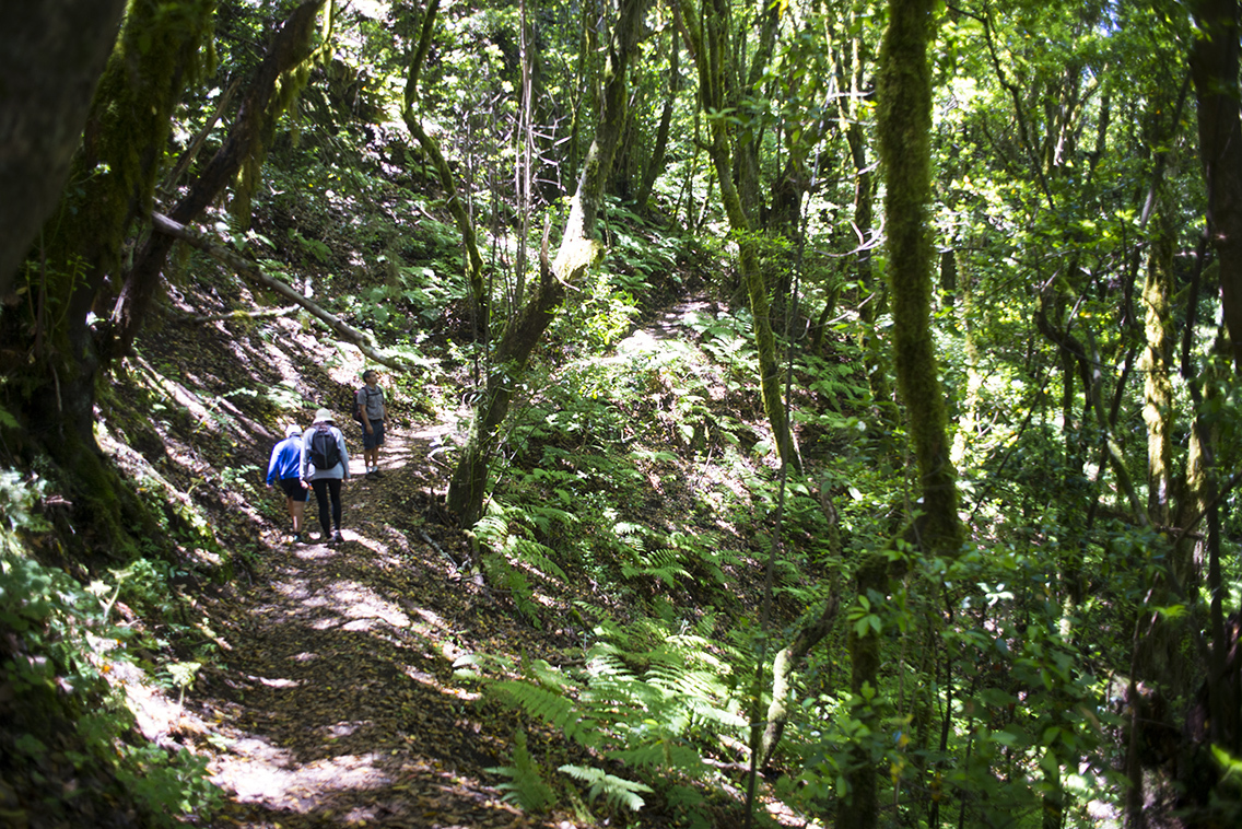 Islas Canarias: Los Cielos de Colón