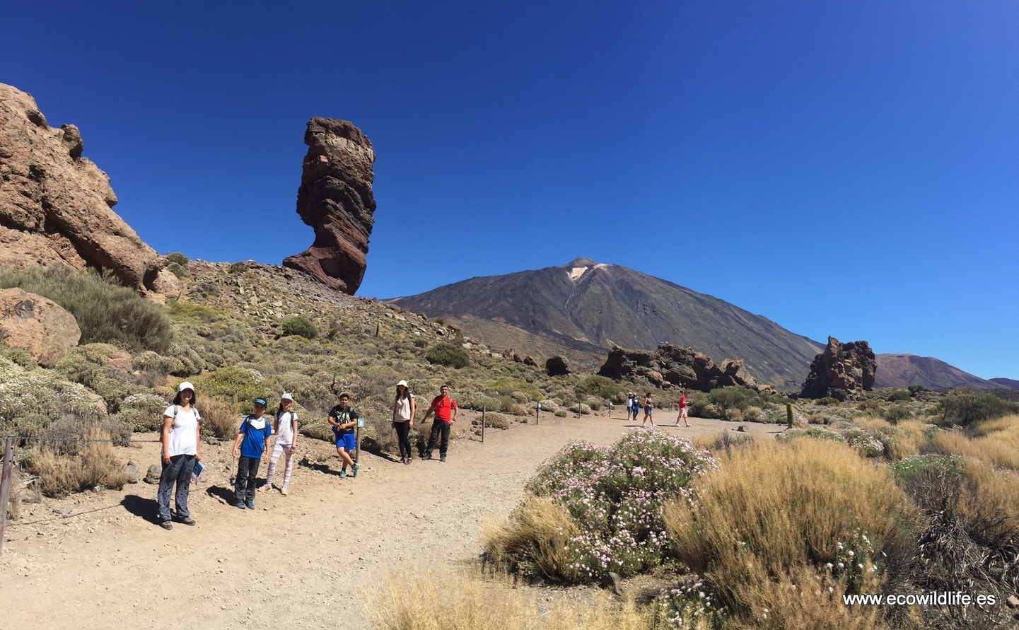Islas Canarias: Los Cielos de Colón