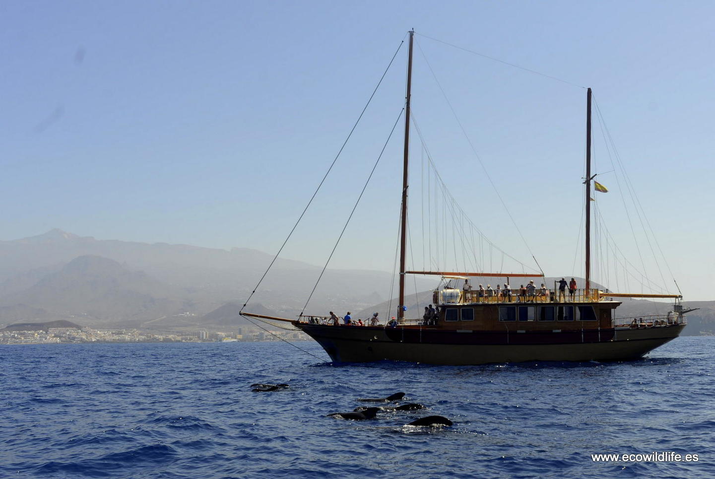 Islas Canarias: Los Cielos de Colón