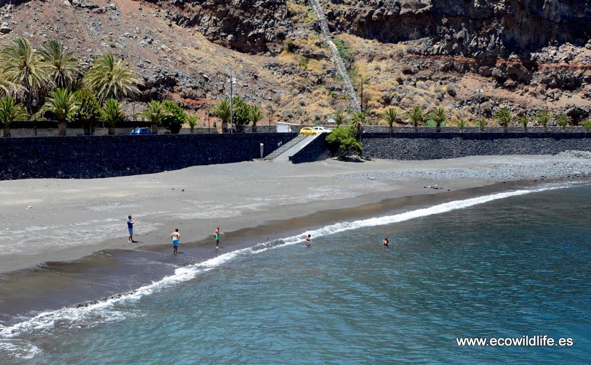 Islas Canarias: Los Cielos de Colón