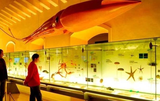 Islas Canarias: Carnaval de los Indianos