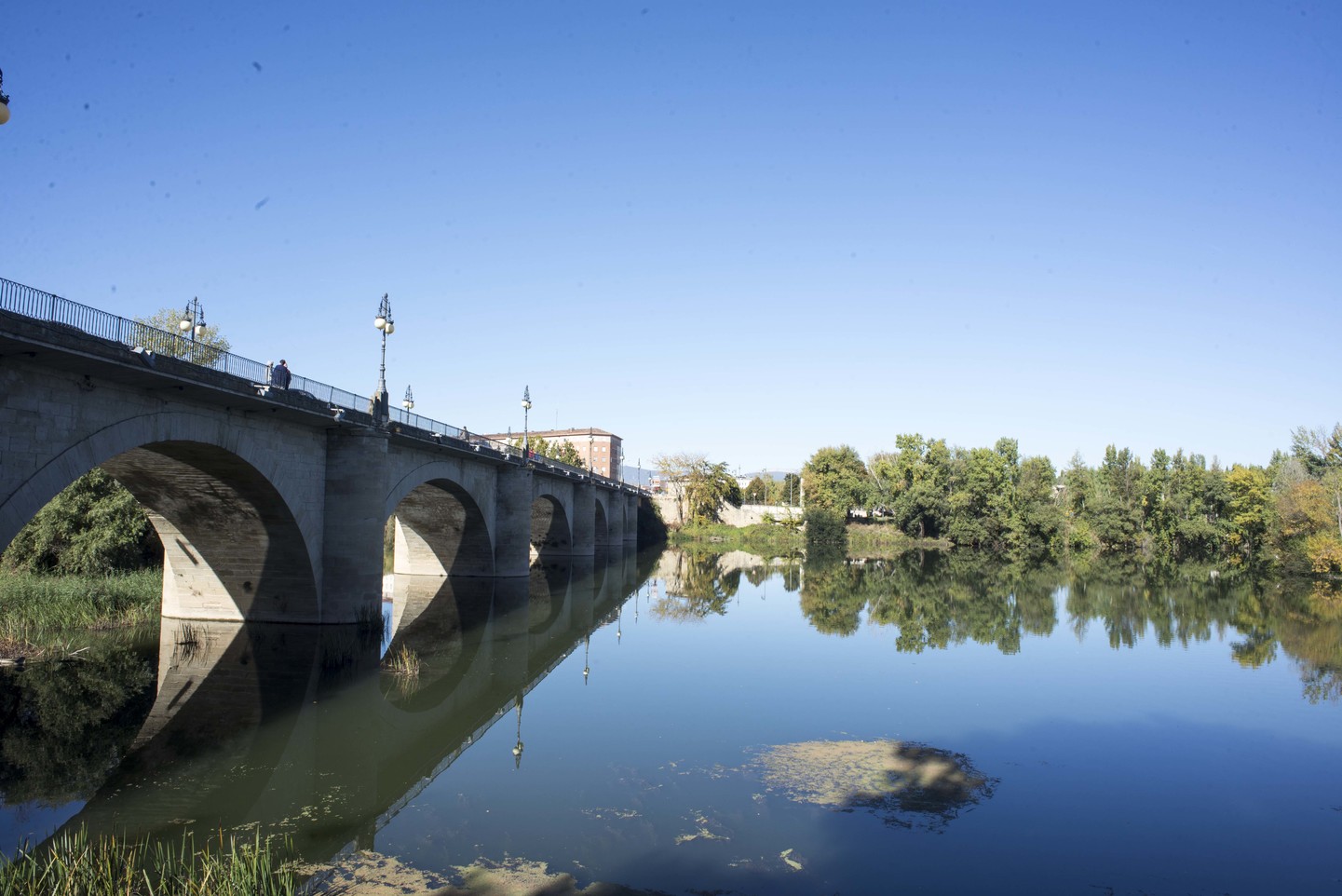 España: Selva de Irati