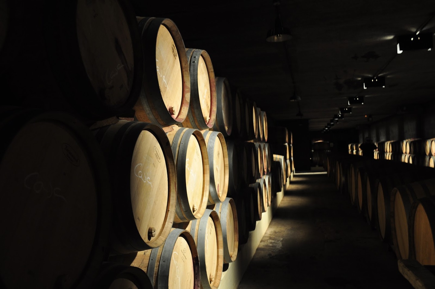 España: Selva de Irati