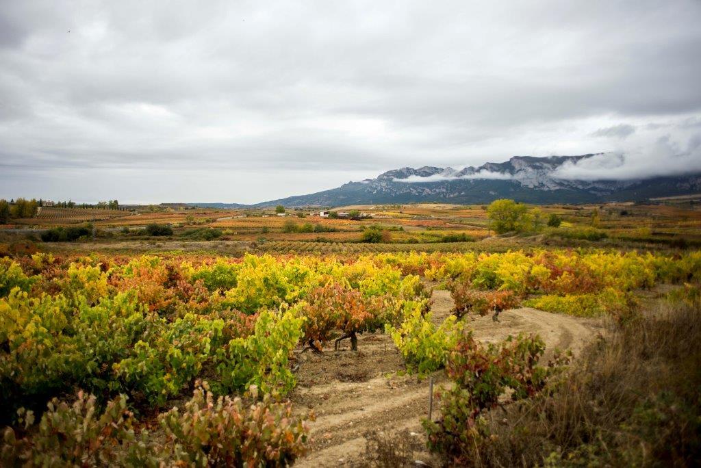 España: Selva de Irati