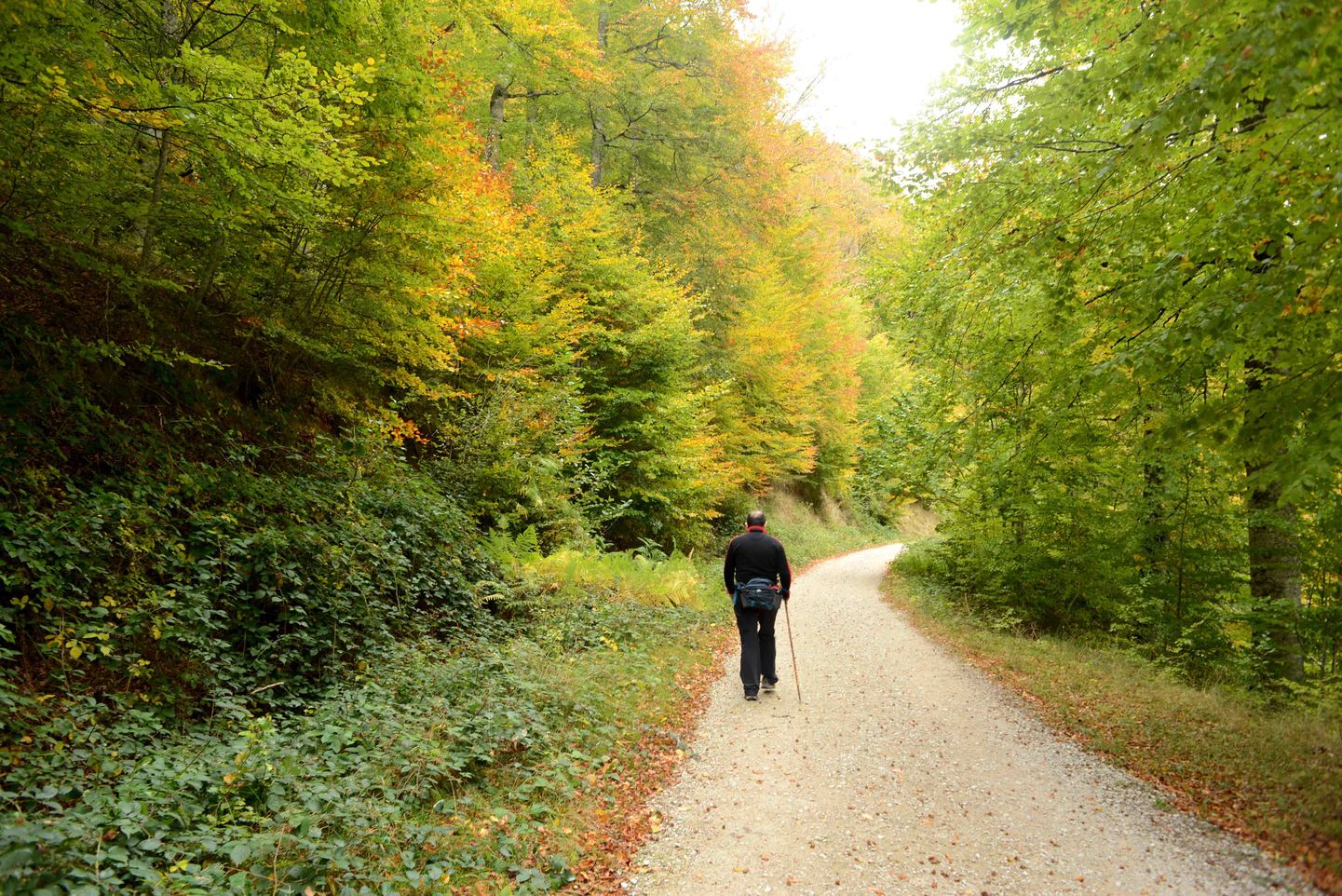 España: Selva de Irati