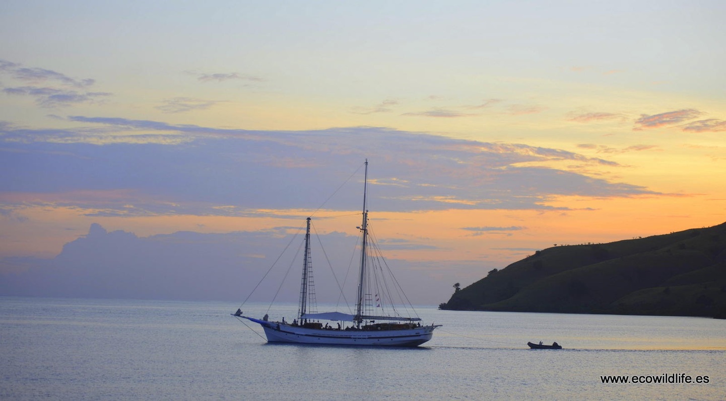 Indonesia: Expedición Borneo y Komodo