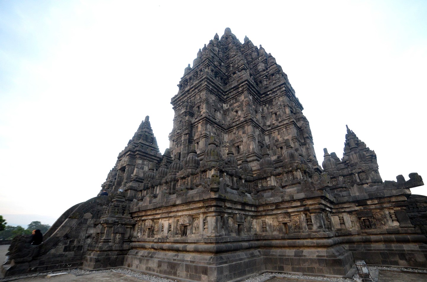 Indonesia: Expedición Borneo y Komodo