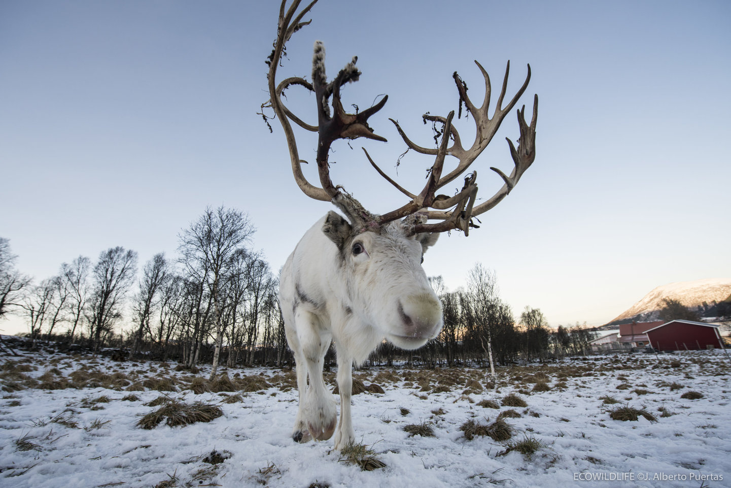 Noruega: Escapada a las auroras boreales