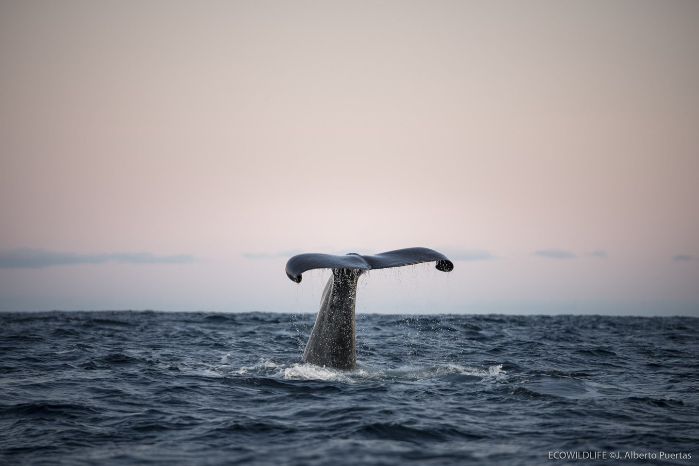 Noruega: Escapada a las auroras boreales