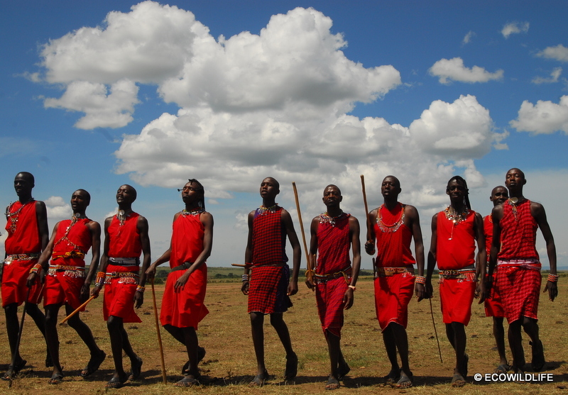 Kenia: En busca de los Big Five