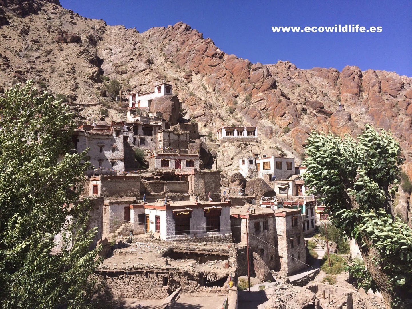 India: El Reino de Ladakh