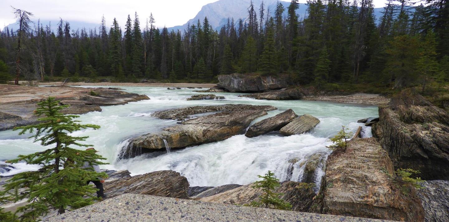 Canadá: LAS MONTAÑAS ROCOSAS Y OSOS POLARES