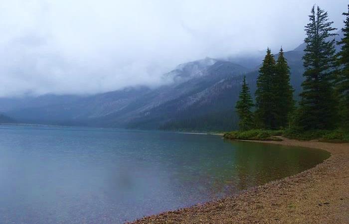Canadá: LAS MONTAÑAS ROCOSAS Y OSOS POLARES