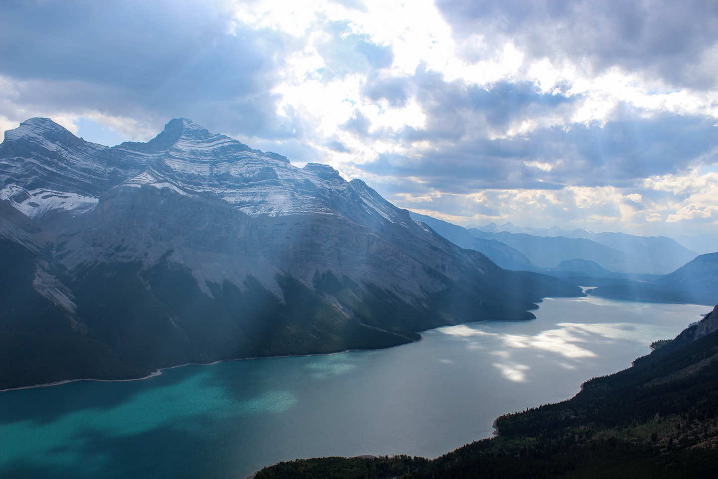 Canadá: LAS MONTAÑAS ROCOSAS Y OSOS POLARES