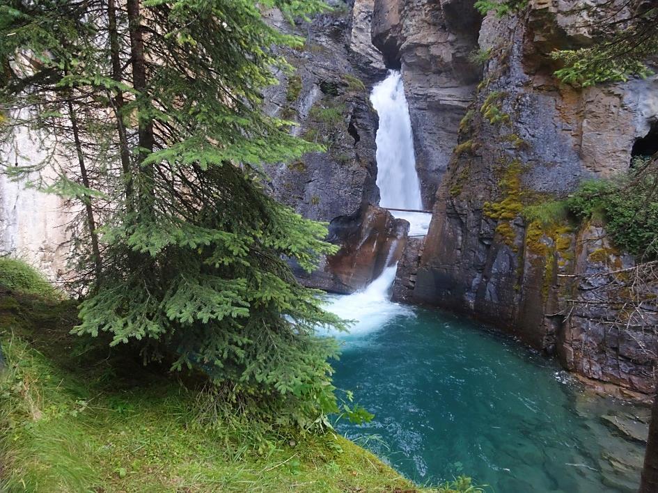 Canadá: LAS MONTAÑAS ROCOSAS Y OSOS POLARES