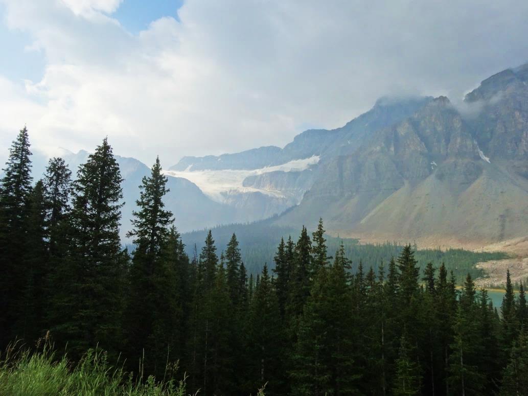Canadá: LAS MONTAÑAS ROCOSAS Y OSOS POLARES