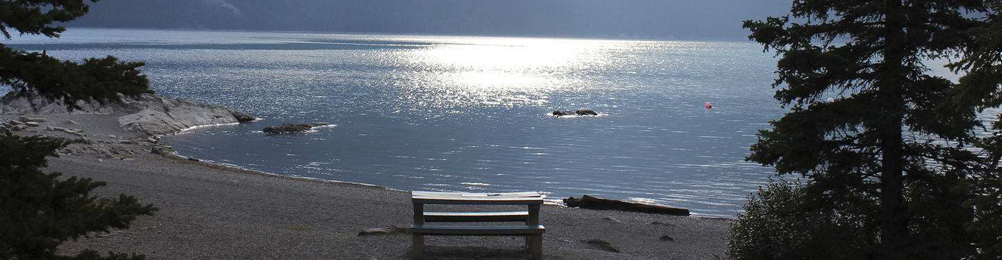 Canadá: LAS MONTAÑAS ROCOSAS Y OSOS POLARES