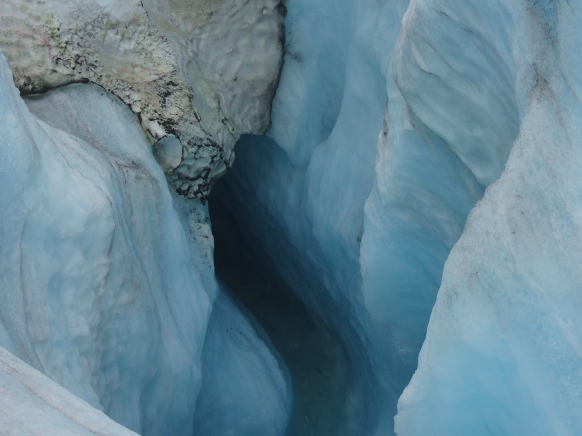 Canadá: LAS MONTAÑAS ROCOSAS Y OSOS POLARES
