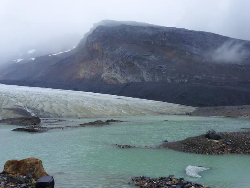 Canadá: LAS MONTAÑAS ROCOSAS Y OSOS POLARES
