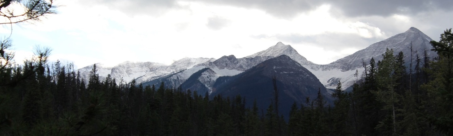 Canadá: LAS MONTAÑAS ROCOSAS Y OSOS POLARES