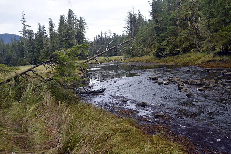 Canadá: Expedición Heiltsuk