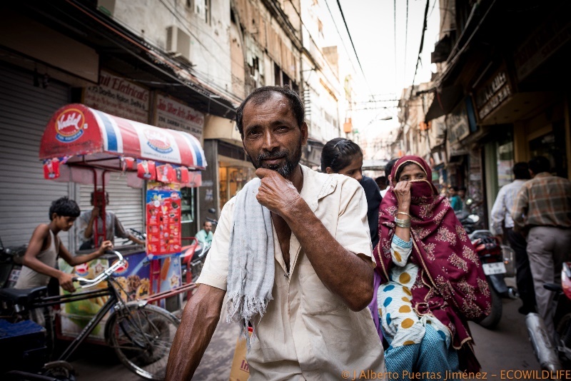 India: Miradas de la India 