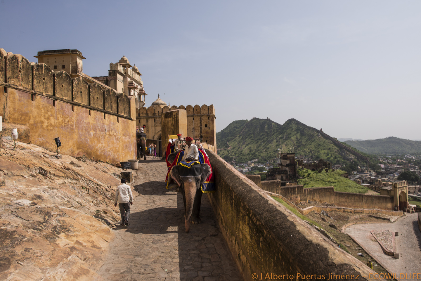 India: Esencias de India 