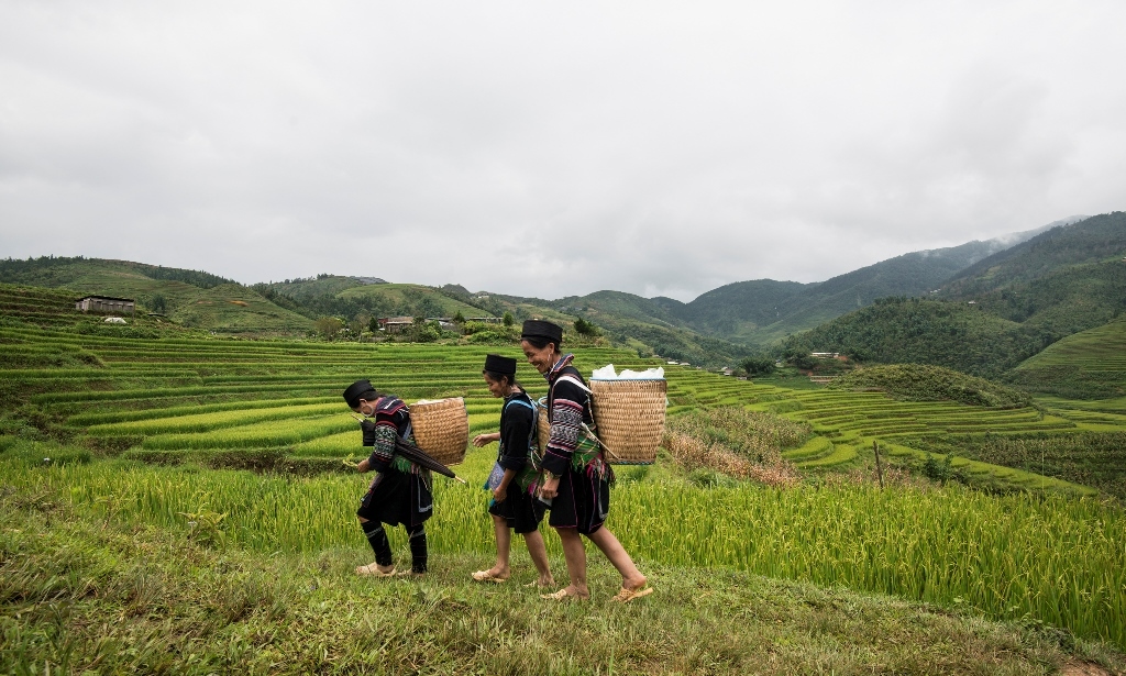 Vietnam y Camboya: descubriendo Indochina 
