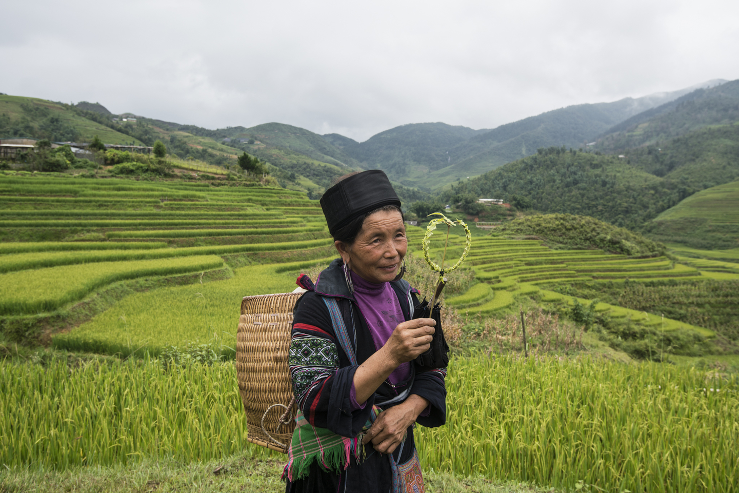 Vietnam y Camboya: descubriendo Indochina 