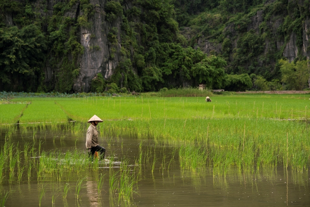Vietnam y Camboya: descubriendo Indochina 