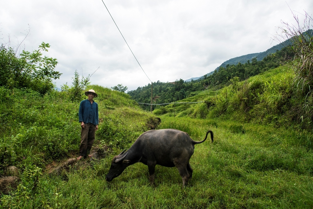 Vietnam y Camboya: descubriendo Indochina 