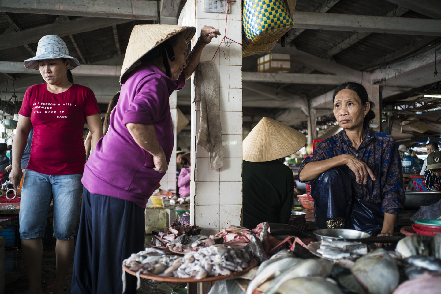 Vietnam y Camboya: descubriendo Indochina 