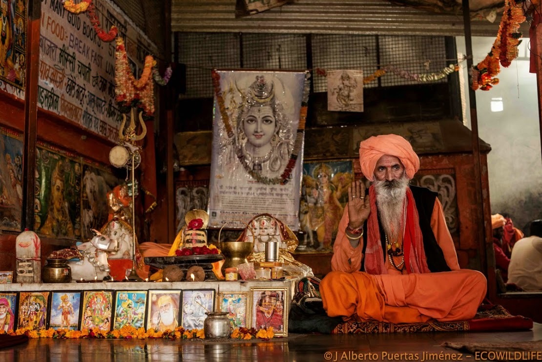 India: Festival Pushkar