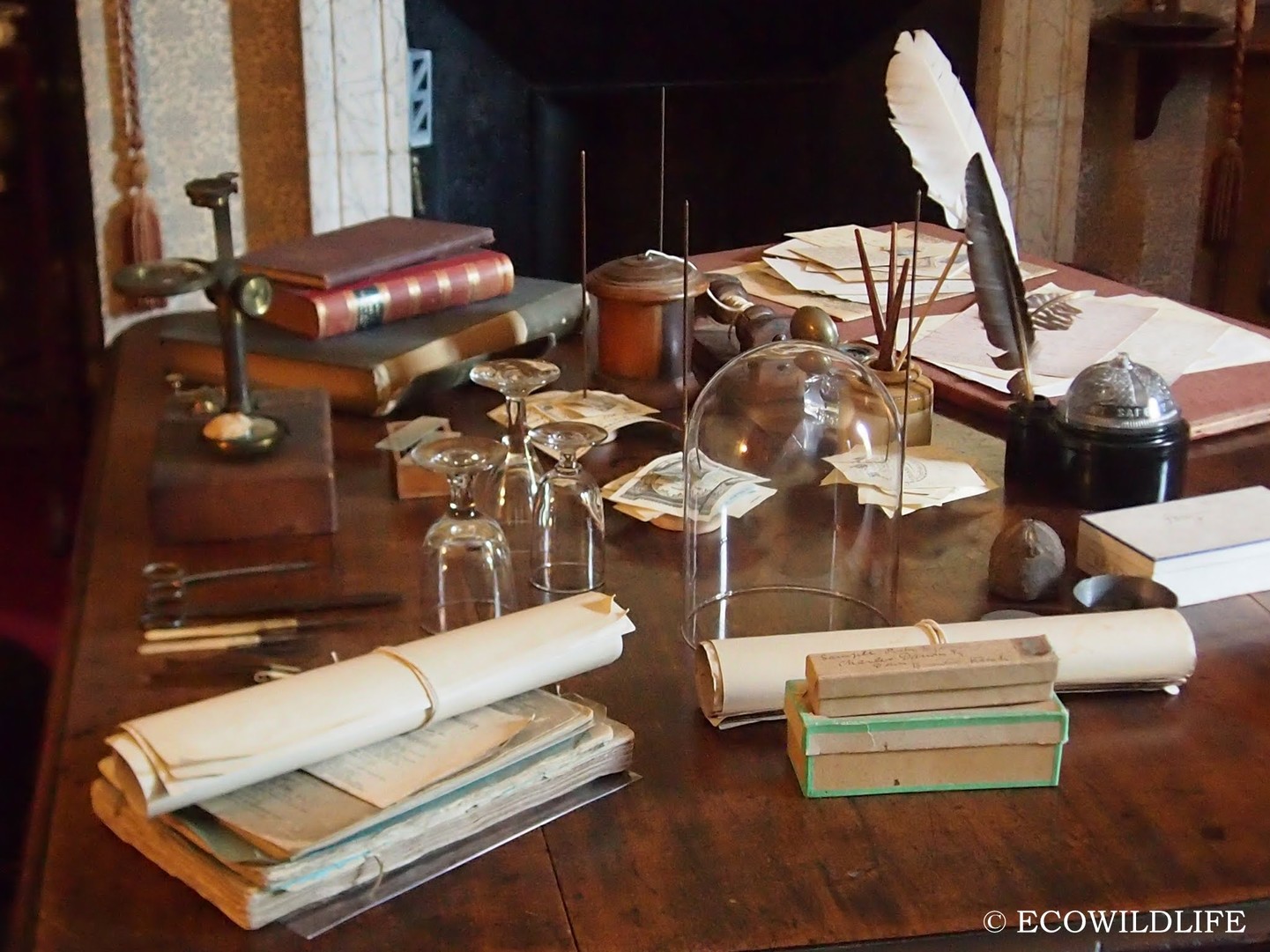 Londres: Tras los pasos de Charles Darwin